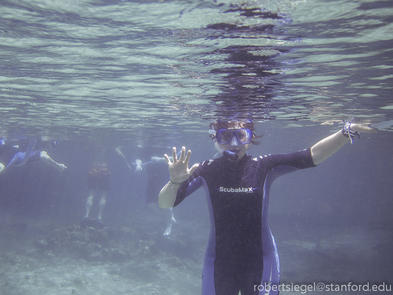 snorkeler